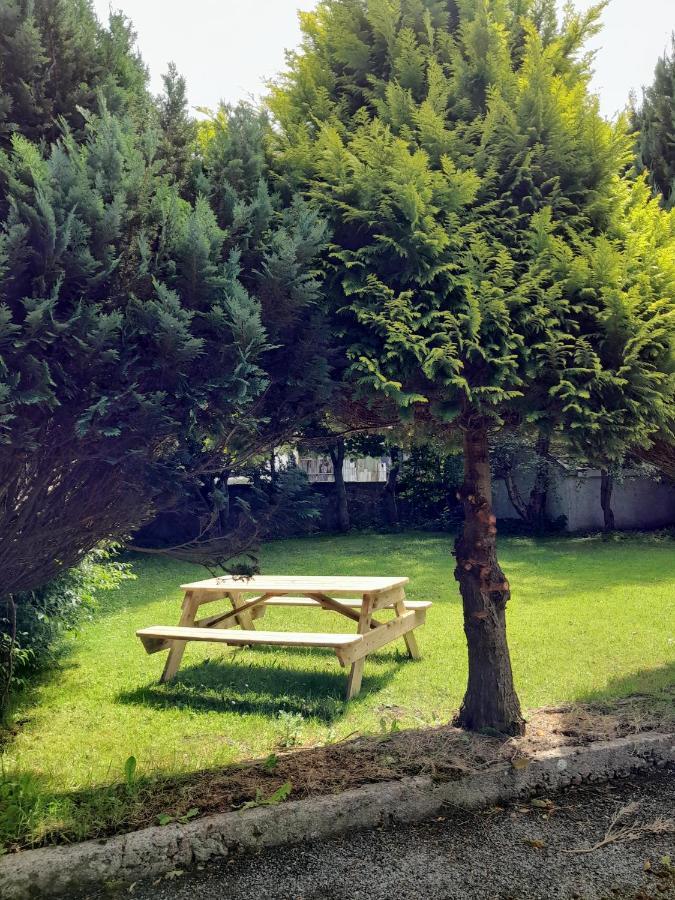 Finner House باليشانون المظهر الخارجي الصورة